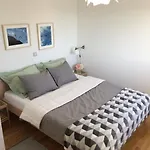 Sol 扎达尔